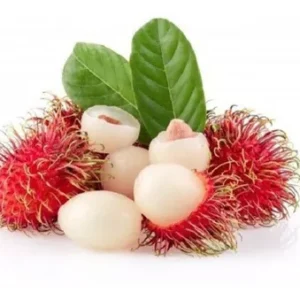 RAMBUTÃ